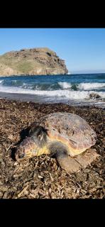 Apartamento encantador - 9