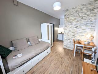 Le Nid - newly renovated cozy studio - 2