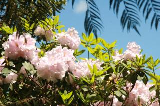 The Sauna Chalet - 5