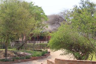 Gerasimos safari lodge - 7