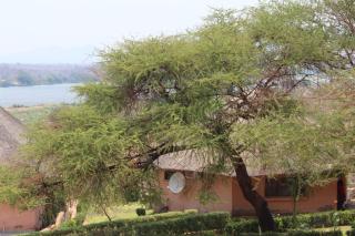 Gerasimos safari lodge - 6