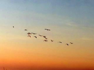 The Simple Farm House with a Roofdeck - Entire house, Santa Rosa, San Juan, LU - 5
