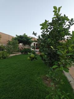 استراحة غوانا - 7