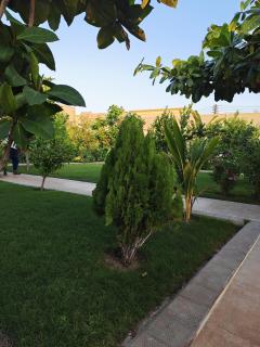 استراحة غوانا - 2