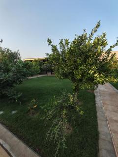 استراحة غوانا - 1