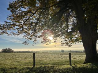 Le Nid des Moises, pavillon neuf -  - 9