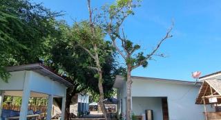 Yemaya de Laiya powered by Cocotel - 3