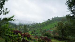 SaffronStays Chamomile Hills - 9