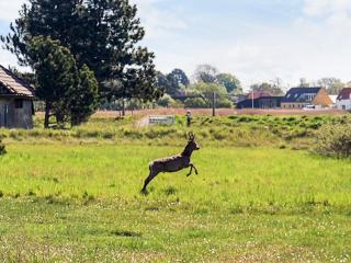 3 room in holiday park in Karrebæksminde - 2