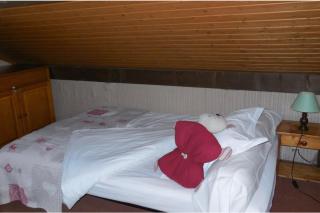 Spacious chalet with garden - Chamonix - 1