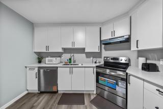 Peaceful 1BHK - Maple - 3