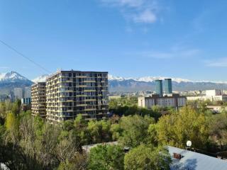 Апартамент с красивым балконом 10 - 5