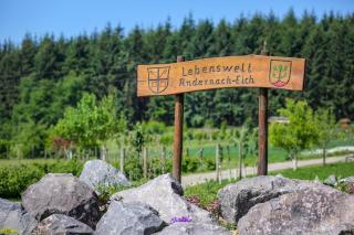 Ferienwohnung Unterm Nastberg - 8