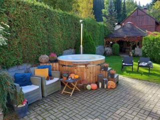 Apartment in Smrzovka 51888 - 4