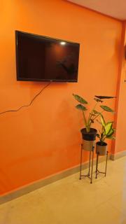 Homestay at Agonda by the backwaters - 5