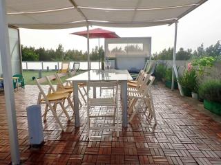 Apartments in Jasenice 41709 - 7