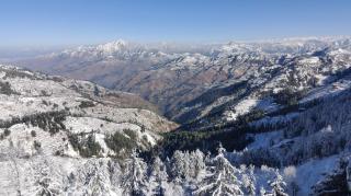 The Kufri Mansion I Three-Bedroom Villa l Charvi Retreat by Exotic Stays - Kufri - 4