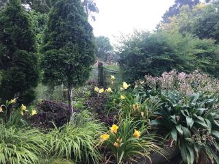 Relax in the Garden Suite - 5