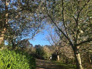 Relax in the Garden Suite - 3