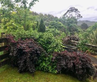 Relax in the Garden Suite - 2