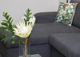 By The Sea On Sackville - beachside in Fitzroy - 7