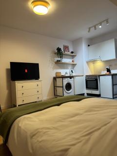 Kiseleff Park Studio - 8