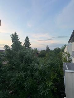 Kiseleff Park Studio - 2