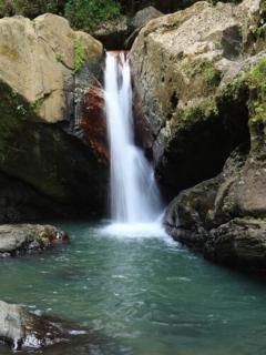 The Sandy Pearl Apartment - Luquillo - 6
