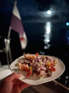 Leopard 42 Catamaran - Private Charter with Crew - 7