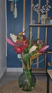 TI BLUE plage à proximité - 0