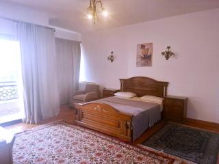 Spacious 3bedroom apt in prestigious Degla, Maadi - 6