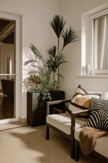 Qult - Cloud Atlas - 3