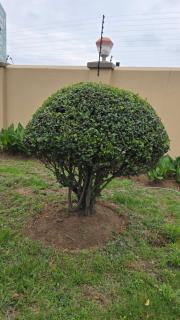 Ntale Guest House - 5