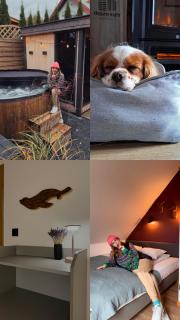 Dobre Kąty całoroczne domki - 7