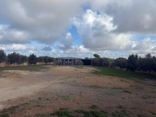 Razzett ta' Sinna - 4