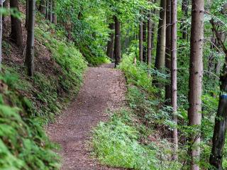 Seafront Holiday Home by Gullmarsfjord - 3