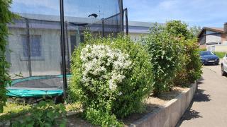 Feels like Home @ Eppinger - 1