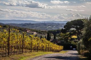 Fattoria Di Corsignano - 5