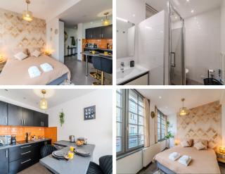 Studio Caucase - Centre-ville Saint Étienne proximité parking - 9