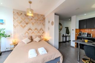 Studio Caucase - Centre-ville Saint Étienne proximité parking - 7