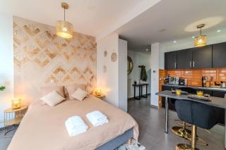 Studio Caucase - Centre-ville Saint Étienne proximité parking - 0