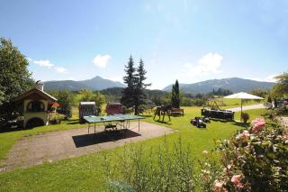 Apartments in Flachau - Salzburger Land 35292 - Hundsdörfl - 8