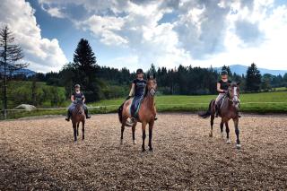 Apartments in Flachau - Salzburger Land 35292 - Hundsdörfl - 3