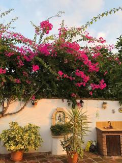 Maison spacieuse avec piscine et vue - 9