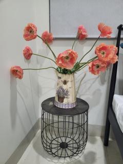 The Delice house near Train street, old Quarter - 8