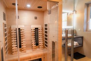 Premiumzeit Pure Apartment Bostalsee mit Infrarotkabine - 0
