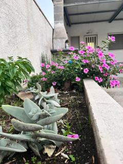 Casa vacanze Metauria - 6