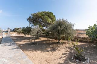 Paros Stone & Sun Retreat - 2