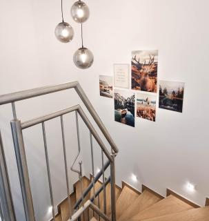 Premiumzeit Pure Apartment Bostalsee mit Infrarotkabine - 6