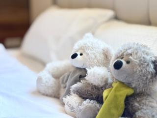 Boutique Central 2 BR Apartment - 1